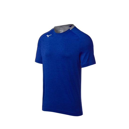 T shirts Mizuno Alpha Kratke Sleeve Panske Kráľovská Modrá | 3672149-XB